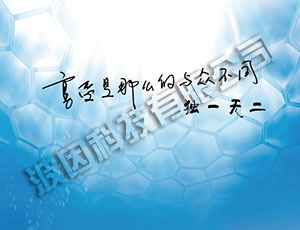 凤凰按摩系统